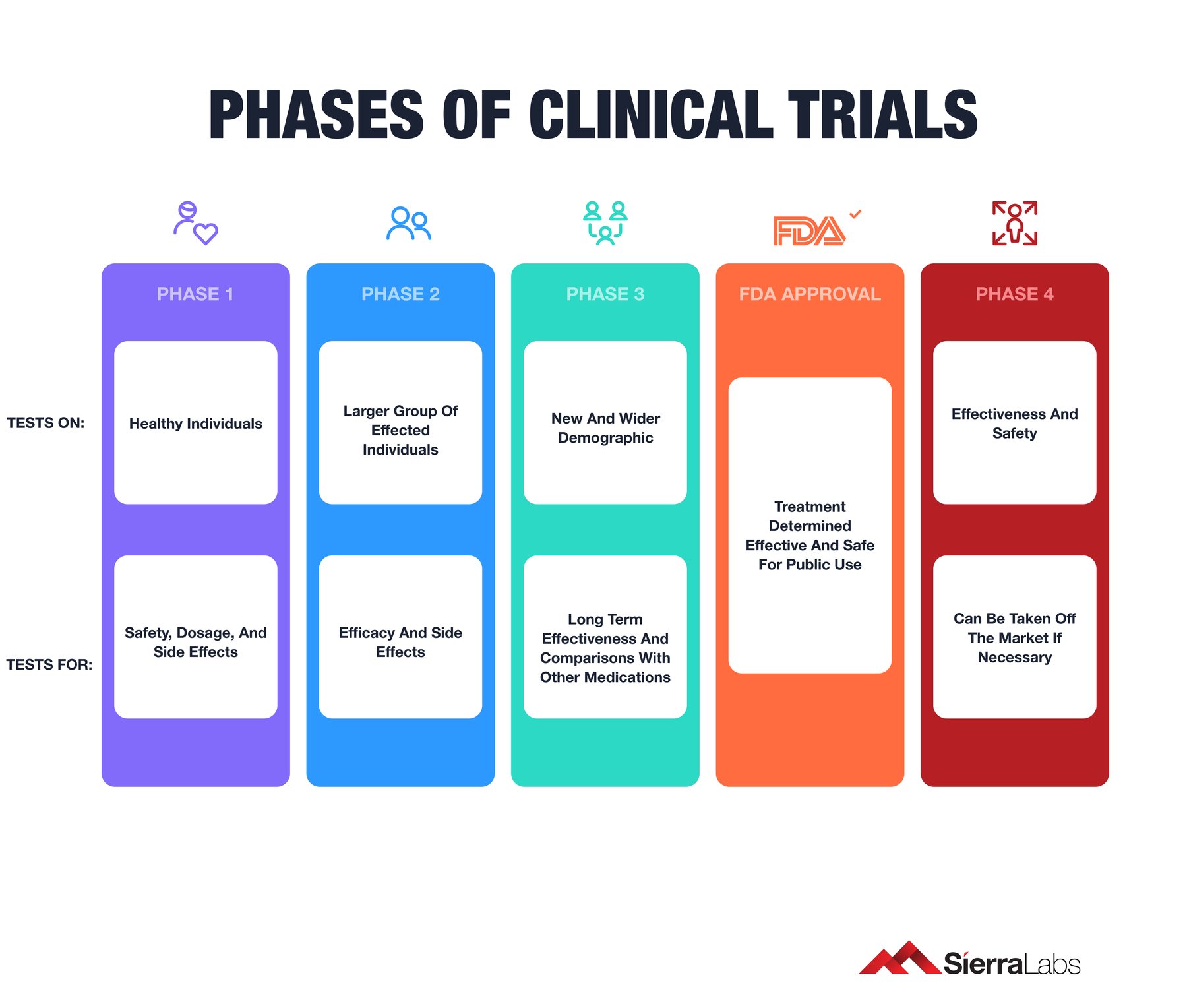 Quick Guide to a Successful Clinical Development Program