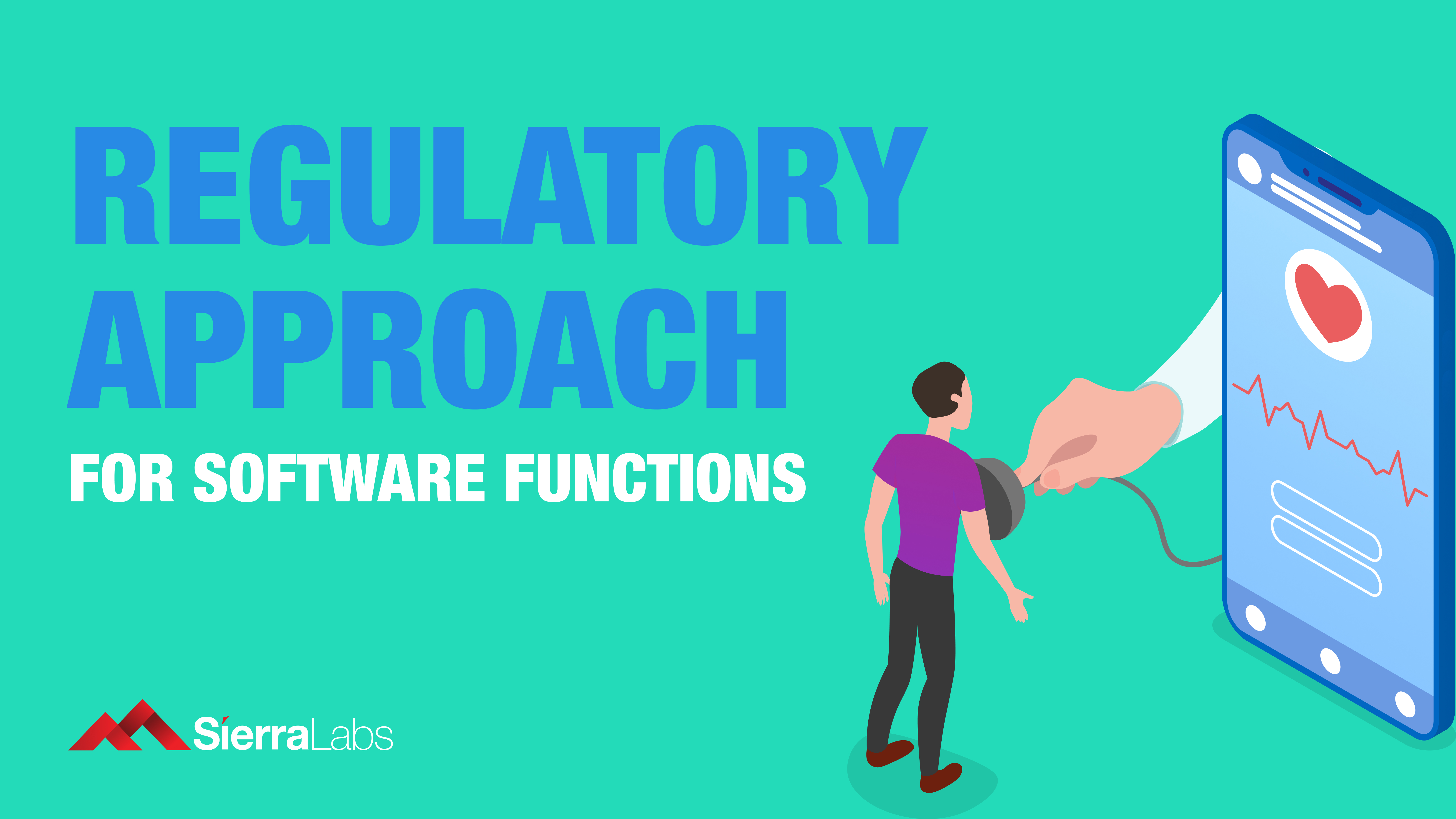 Regulatory Approach for Software Functions